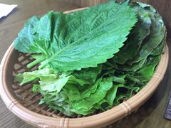 -韩阳王石板烤肉