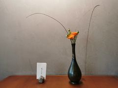 -觀芷隐轩