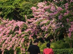 -杭州城北体育公园