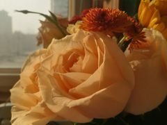 -那些花儿鲜花店(小寨店)