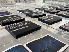 -罗红摄影艺术馆