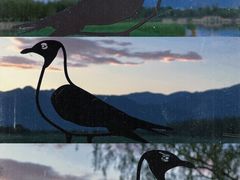 -野鸭湖国家湿地公园