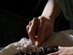 -大可堂普洱茶馆(襄阳南路馆)