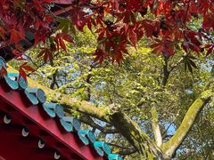 -岳麓山风景名胜区