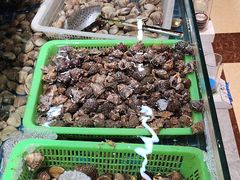 -和源祥·日照菜扛把子(万平口一店)