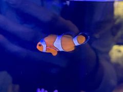 -Rabbit Cafe私房西餐甜点咖啡(栖霞路店)