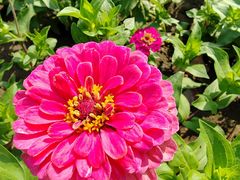 -永定河休闲森林公园