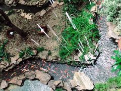-古韵轩·江浙融合菜(梁溪店)