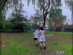 -永定河休闲森林公园