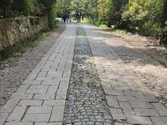 -紫金山天文台