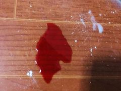 -爱侣宠医·鹦鹉专科·小型哺乳类·异宠专科(灵石路店)