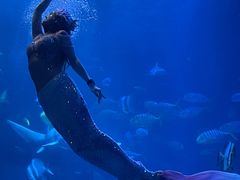 -太平洋海底世界