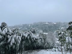 -莫干山风景区