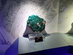 -甘肃地质博物馆