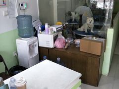 -守诺宠物医院·眼科· 特色牙科·异宠专科(虹口店)