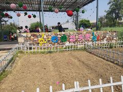 -田园东方蜜桃村的田野营地