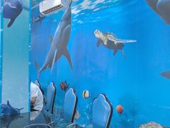 -小海豚•老字号海鲜餐厅(天涯店)