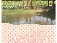 -圩墩遗址公园