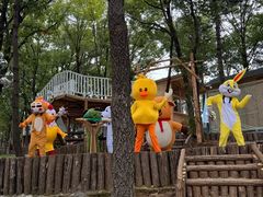 -沂蒙山旅游区云蒙景区(蒙山国家森林公园)