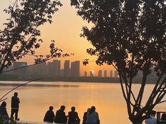 -天鹅湖体育公园