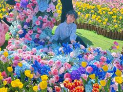 -荷兰花海