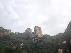 -大岭沟猕猴桃谷风景区