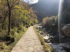 -少华山国家森林公园