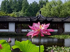 -郭庄景区