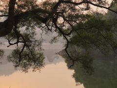 -广州市白云山风景名胜区