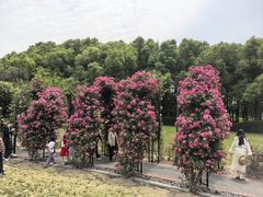 -上海交通大学(闵行校区)