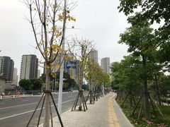 -Olé精品超市(广州太古汇店)