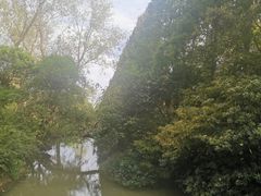 -滨江森林公园-真人CS野战场