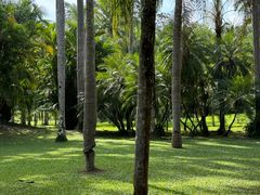-中国科学院西双版纳热带植物园