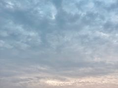 -海沧湾公园