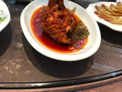 松鼠桂鱼-锦海城市大酒店·上海酒楼(会馆浜路店)