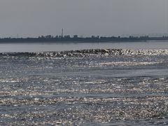 -观潮胜地公园