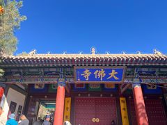 -张掖大佛寺景区