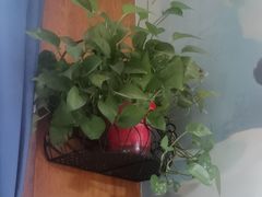 -观盐·盐帮菜(官园桥店)