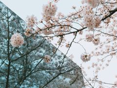 -龙美术馆(西岸馆)