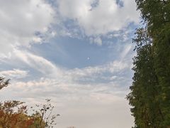 -武汉动物园
