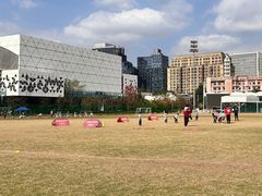 -黄龙魔方运动培训·棒球·橄榄球