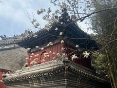-潭柘寺景区