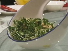 香椿拌桃仁-裕德隆清真饭庄·天津特色菜(东丽店)