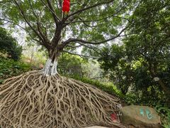 -三水森林公园孔圣园