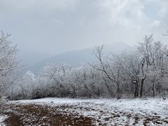 -湖州龙王山景区
