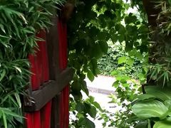 -斯多格书乡(北京大学畅春园店)