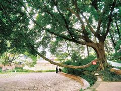 -成都市活水公园