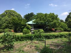 -名古屋城