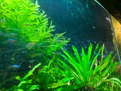 -上海海洋水族馆