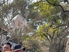 -西湖外事游船(花港观鱼码头)